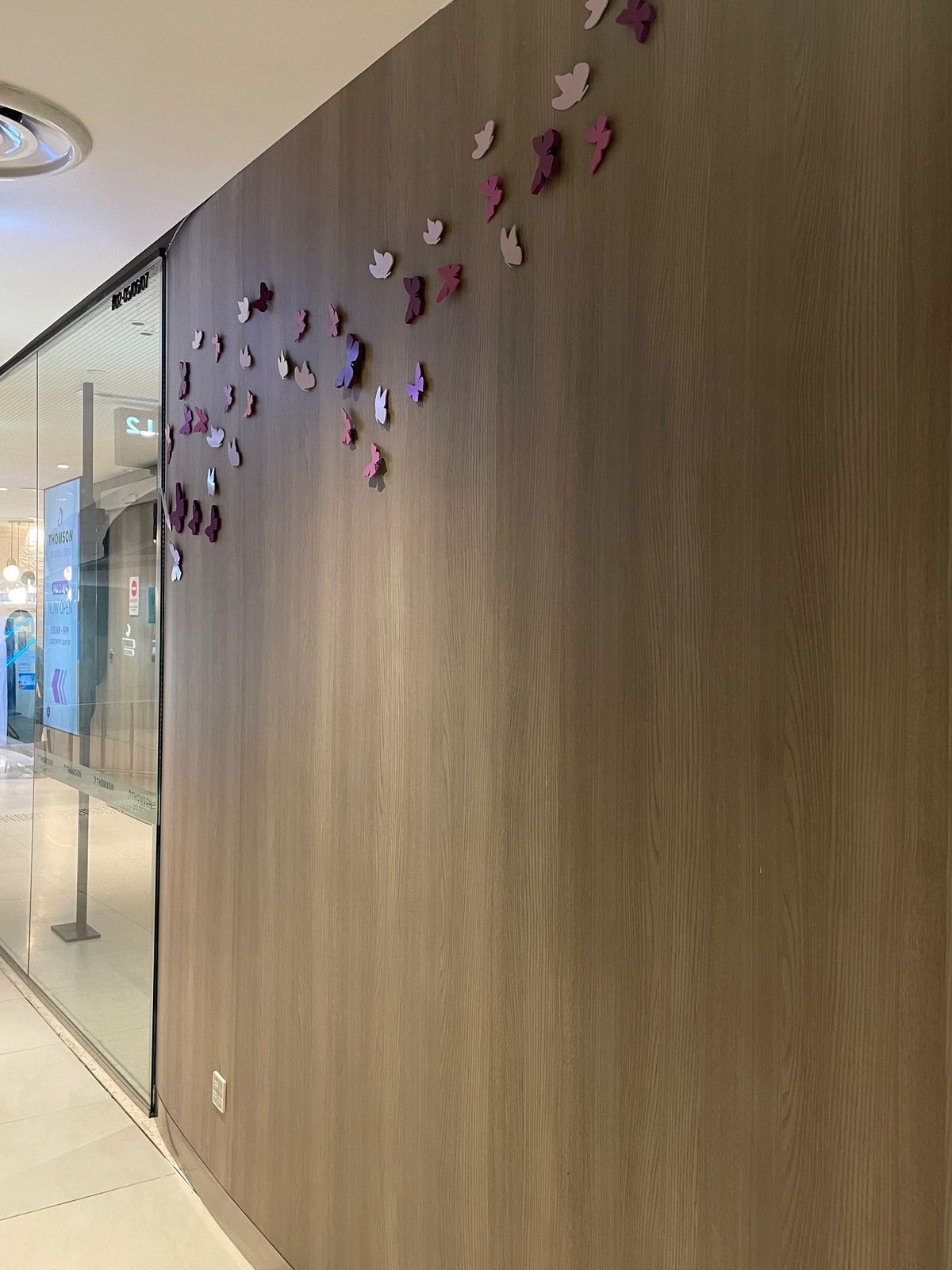 Feature wall — butterfly relief · decor
