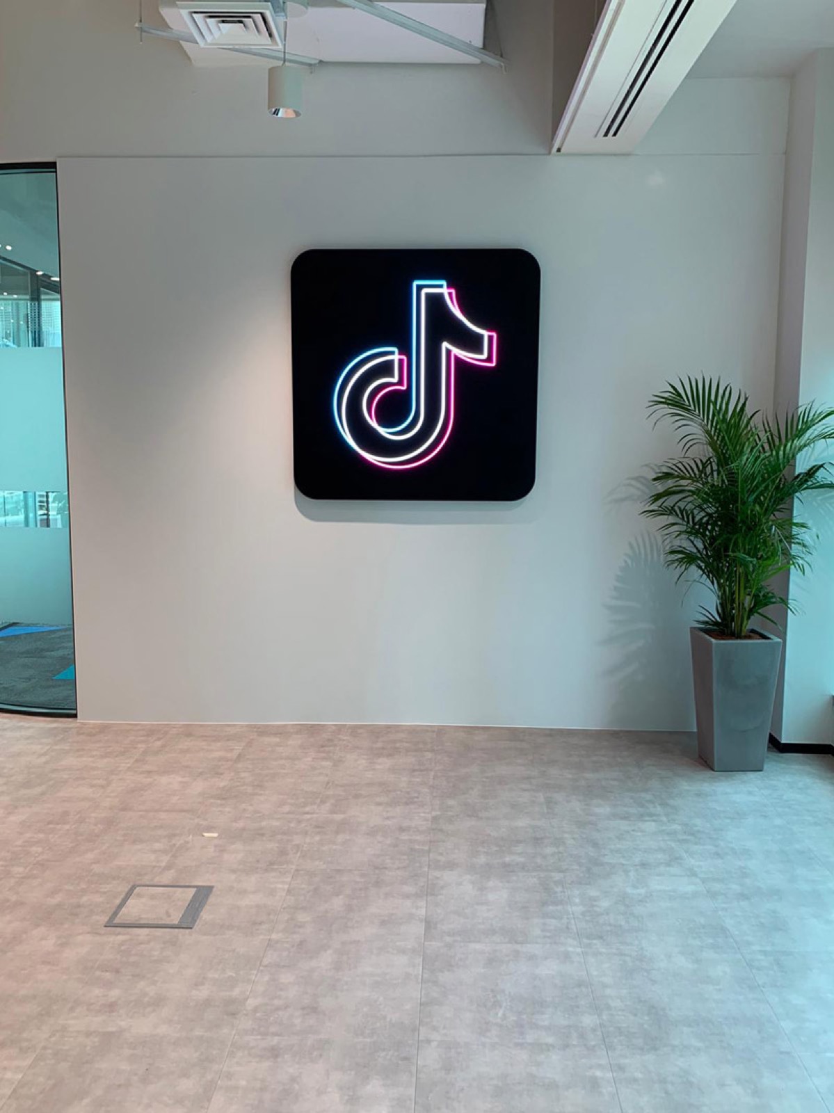 TikTok — reception logo · backlit